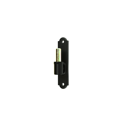 Closeup of European Plate Pintel with black powder coating.